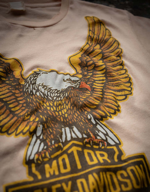 Load image into Gallery viewer, HARLEY DAVIDSON APEX
