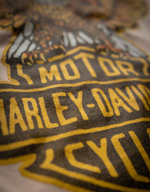 Load image into Gallery viewer, HARLEY DAVIDSON APEX

