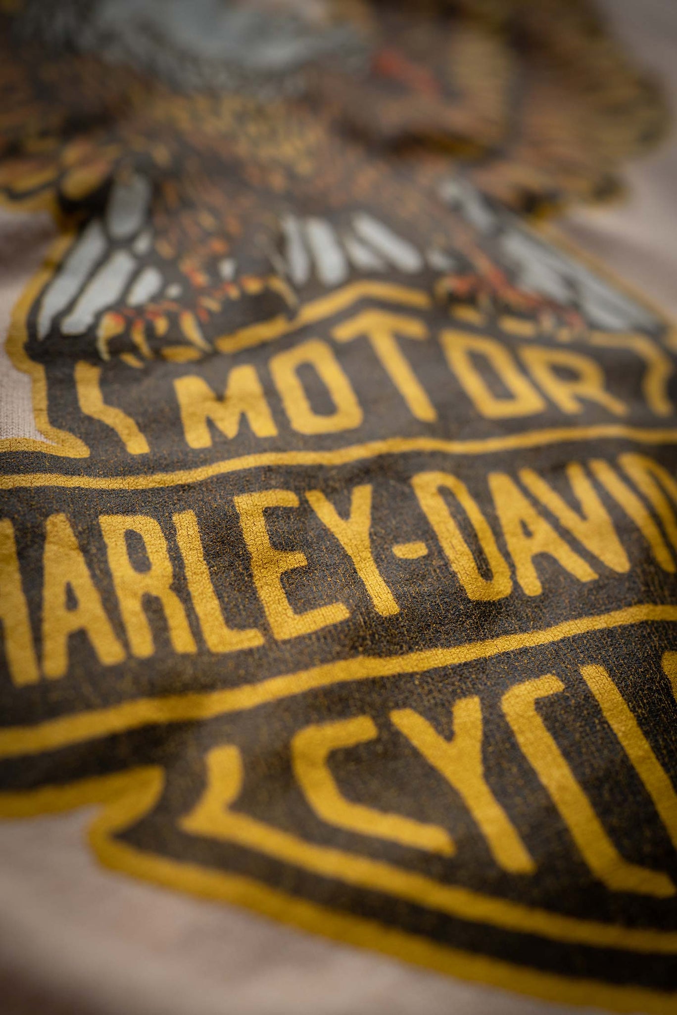HARLEY DAVIDSON APEX