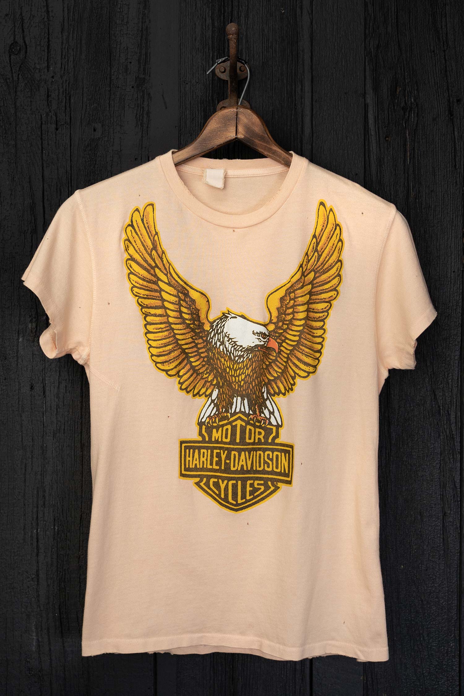 HARLEY DAVIDSON APEX