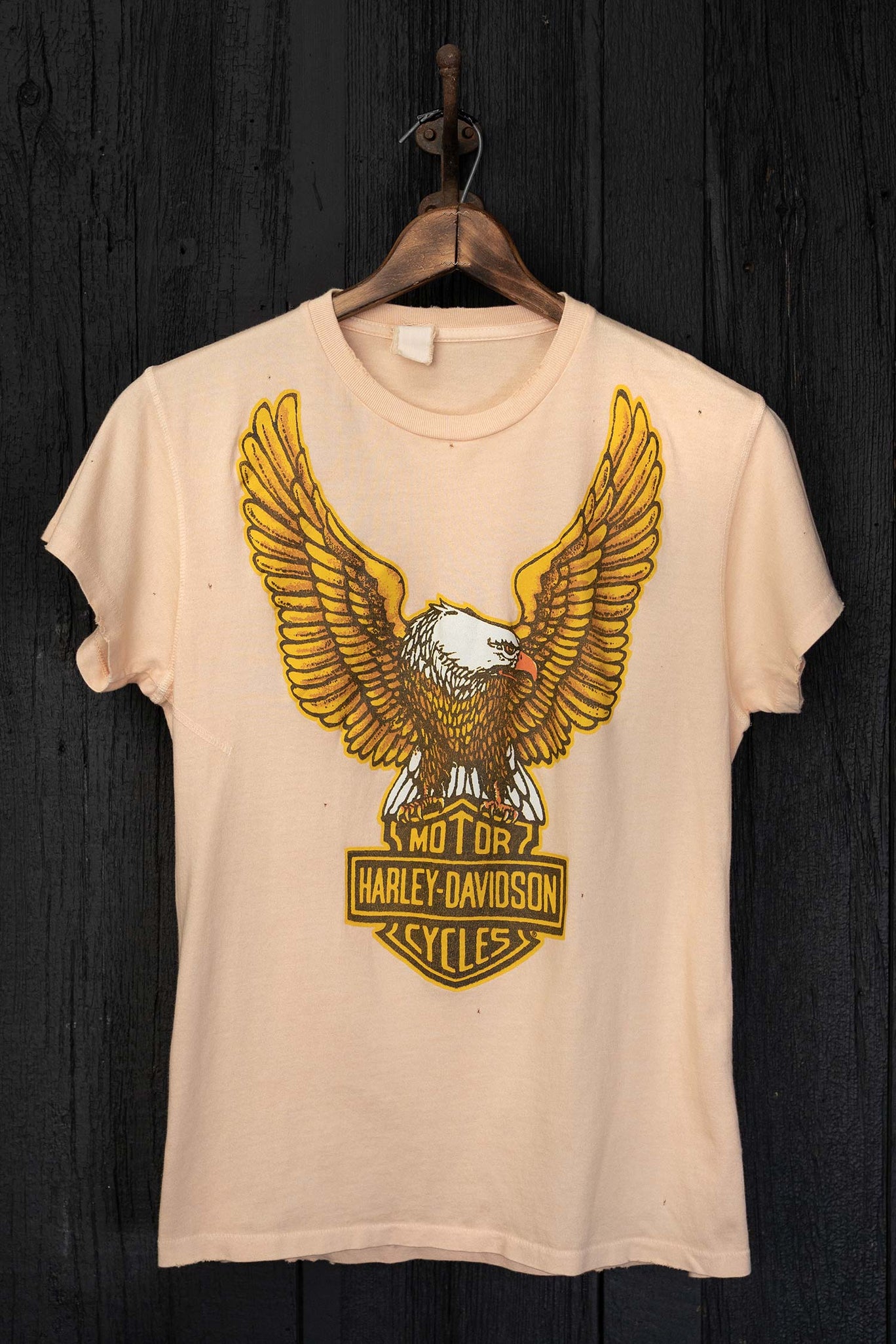 HARLEY DAVIDSON APEX